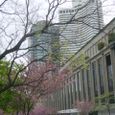 14april2006_030